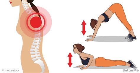 We are a family owned chiropractic and physical therapy practice located in towson, maryland. 2 Exercises To Help You Prevent "Dowager's Hump"