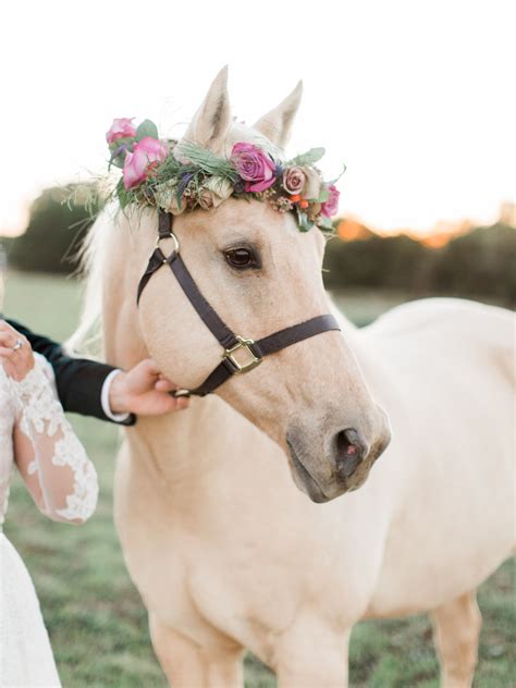 Jewel Toned Edgy Boho Wedding Ideas Horse Flowers Pretty Horses And