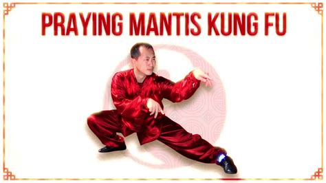 5 Free Lessons Praying Mantis Kung Fu Fighting Techniques Youtube