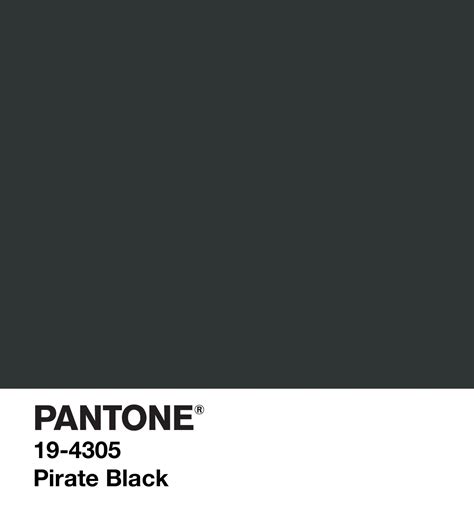 Pirate Black Pantone Color Pantone Palette Pantone