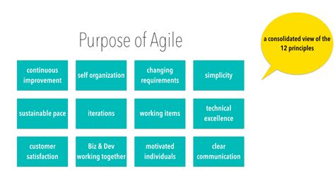 While these principles still influence how engineering teams work today, many companies have tweaked them to fit modern technology. managing agile....