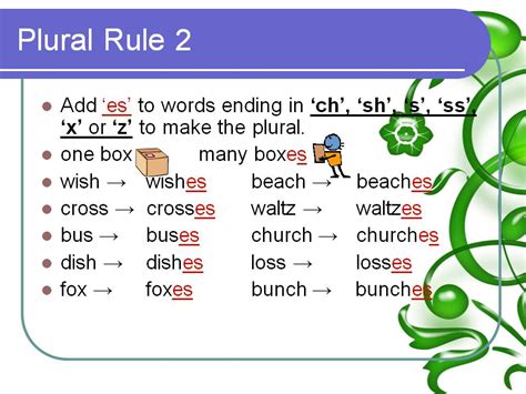 Ingles Curso 1 Clase 7 Rules Of Plural Reglas De Plural Youtube