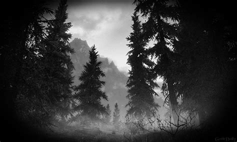 Dark Forest  Tumblr
