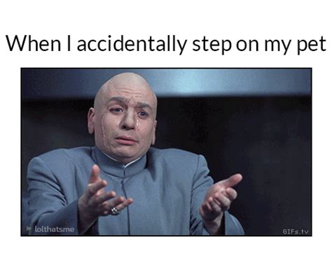 Browse latest funny, amazing,cool, lol, cute,reaction gifs and animated pictures! lol so true gifs | WiffleGif