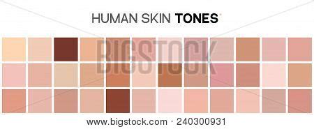 Skin Tone Color Chart Vector Photo Free Trial Bigstock