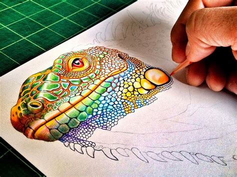 Simply Creative Colorful Drawings Of Reptiles By Tim Jeffs