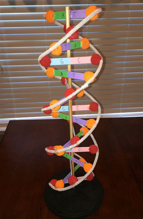 Dna 3d Model Dna Double Helix Model Dna Helix Biology Projects