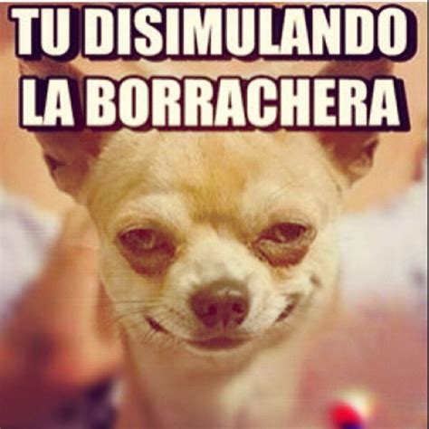 Borrachera Funny Memes Best Memes New Memes