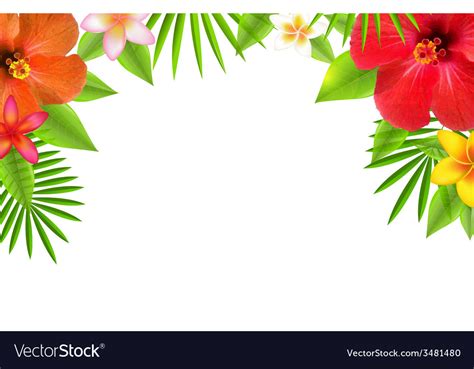 Tropical Flower Border Design Vector Best Flower Site