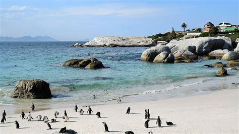 10 Best Cape Town Beaches To Relax Surf And Play