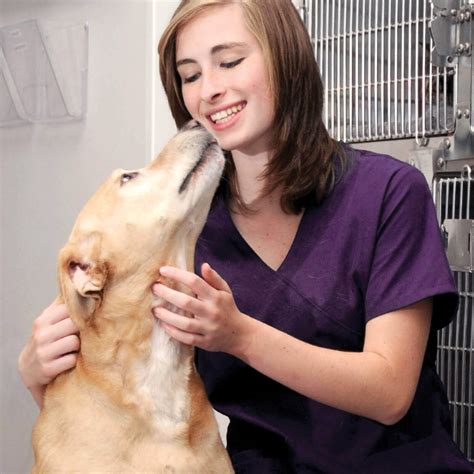 Professional Pet Boarding Certification Level 1 – Professional Pet