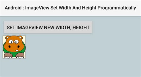 How To Set Imageview Width And Height Programmatically In Android
