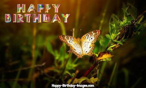 Best Happy Birthday Butterfly Images Party Theme 2022