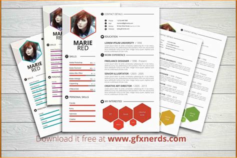 Fancy Resume Templates Free Of Free Professional Resume Templates Word