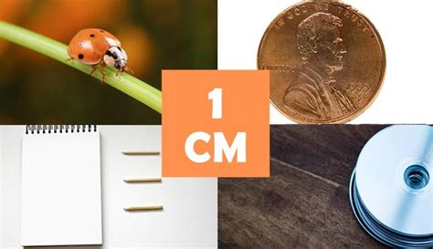 9 Things That Are About 1 Centimeter Cm Long