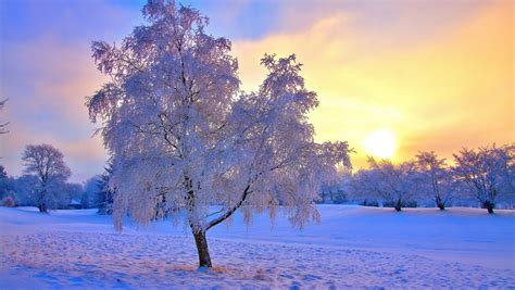Free Download Free Download Winter Sunset Hd Wallpapers For Iphone 5
