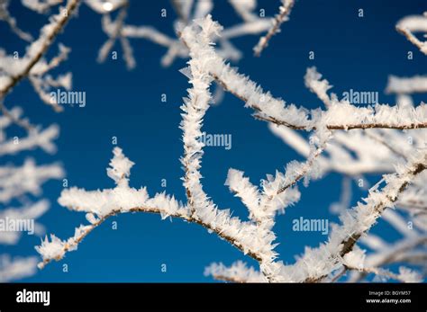 Crystal Hi Res Stock Photography And Images Alamy