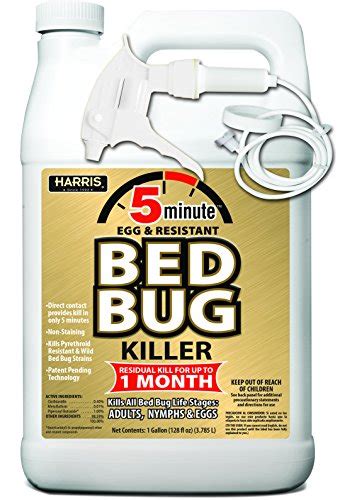 10 Best Bed Bug Killer Fogger Review And Buying Guide Blinkxtv