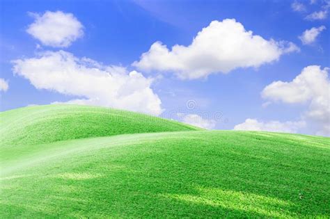 Green Field And Blue Sky With Light Cloudsimage Of Green Grass Field