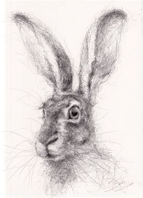New Stock Original A4 Wildlife Drawing Of A Hare Animal Art By