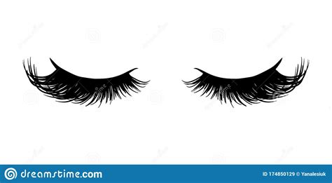 Long Black Lashes Vector Illustration Beautiful Eyelashes Isolated On