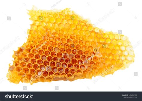 Honey Bee Wax Honeycomb Cells Honey Stock Photo 1474392722 Shutterstock