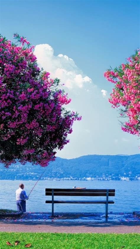 Add beautiful live wallpapers on your lock screen for iphone xs, x and 9. iPhone 8 Wallpaper Beautiful Spring | 2021 3D iPhone Wallpaper