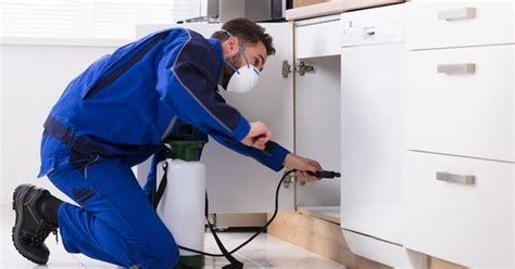 Pest management can be defined as the method of reducing or eliminating different types of unwanted creatures such as cockroaches, ants, wasps, bees, spiders, silverfish, termites, bedbugs, etc… bayswater pest control is a leader in domestic and commercial pest control in melbourne. 10 Places You Never Knew Pests Were Hiding in 2020 | Pest ...