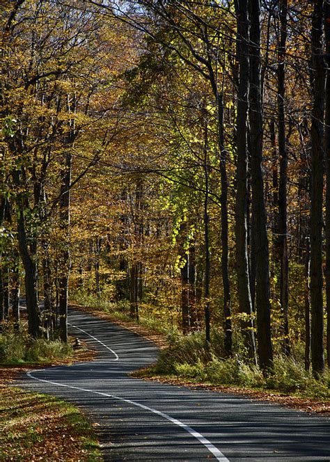 Winding Road In The Woods Photograph By Owen Weber Pixels