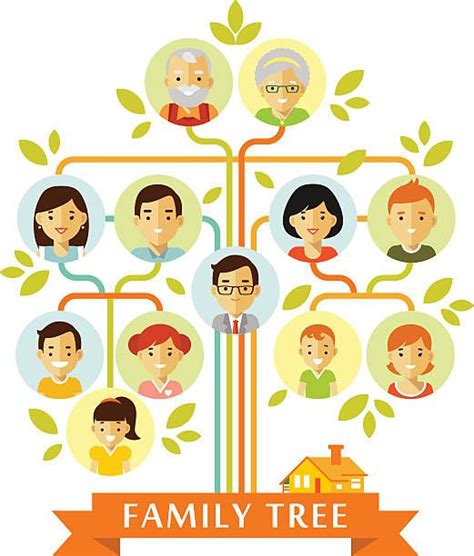 family tree generation people icons infographic avatars family tree