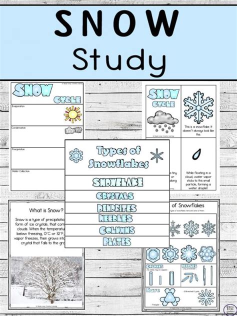 All About Snow Study Simple Living Creative Learning