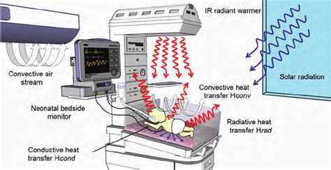Heat Transfer Mechanisms Of A Newborn Inside An Open Radiant Warmer