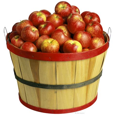 Apple Cider The Basket Of Apples A Basket Of Apple Image Material Png