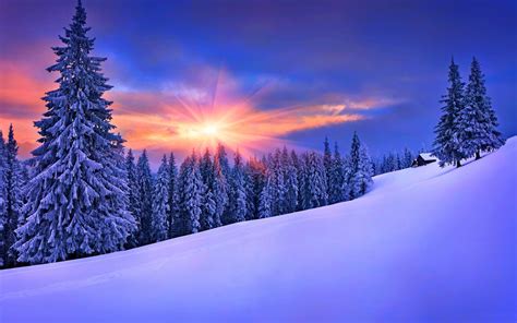Sfondi Luce Del Sole Paesaggio Foresta Cielo La Neve Inverno