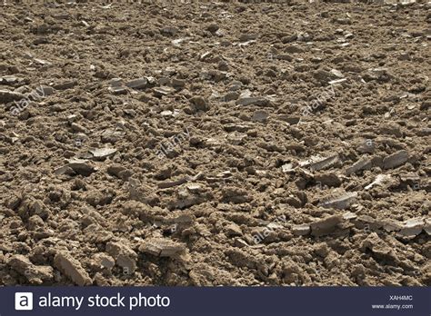 Loamy Soil Stock Photos And Loamy Soil Stock Images Alamy