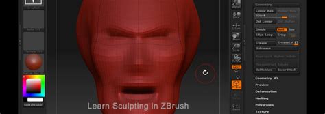 Cgarena Video Tutorial Learn Sculpting In Zbrush Beginners To