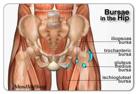 It can help you understand our world more detailed and specific. Best Exercise for Hip Bursitis | may vary. Remember to ...