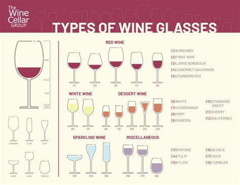 Types Of Wine Glasses Sekatele