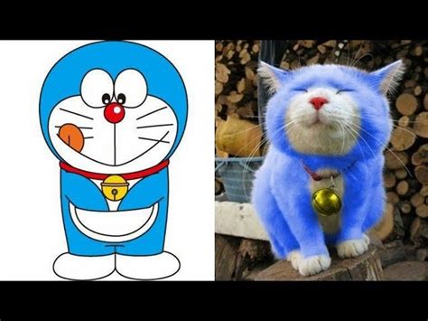 Doraemon Characters In Reallife