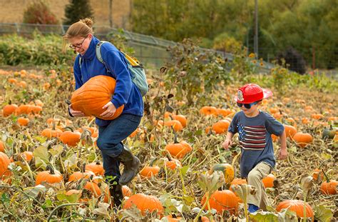 Oct. 13: WSU organic farm hosts annual Fall Harvest Festival | WSU ...