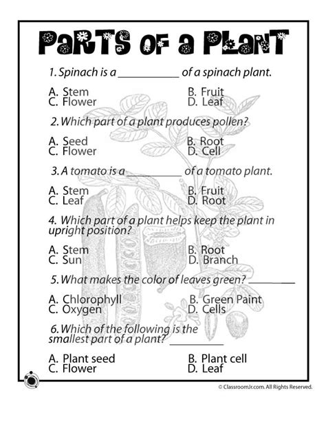 Printable Parts Of A Plant