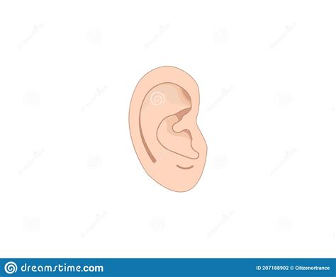 Human Ear Anatomy Icon Vector Illustration Flat Stock Illustration