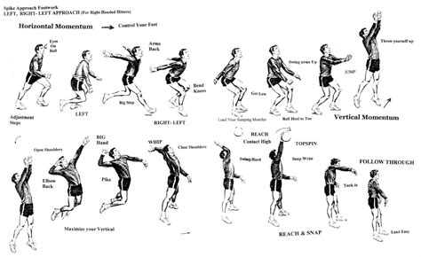 Rotational six positions of volleyball. Volleyball Spike: A Biomechanical Analysis: Volleyball ...