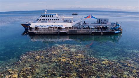 Cairns Great Barrier Reef Tours Non Swimmers Families Pontoon