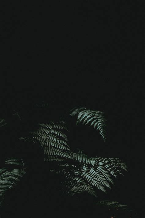 Black Iphone Wallpapers Wallpaper Cave