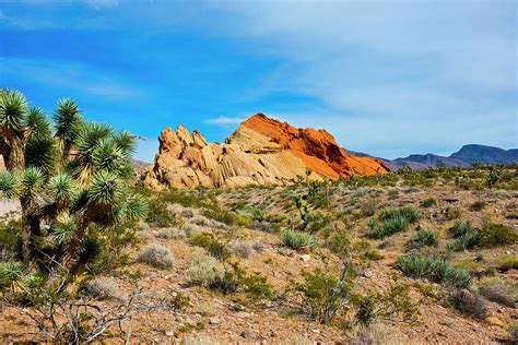 USA, Nevada, Mesquite Photograph by Bernard Friel | Fine Art America