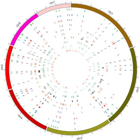 The Genomic Regions Of Predicted Secondary Metabolite Biosynthesis Gene