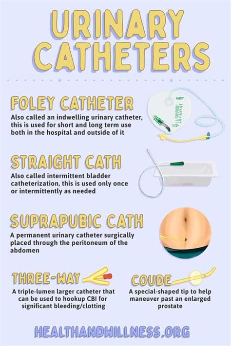 How To Master The Foley Catheter Insertion Advanced Tips And Tricks Health And Willness