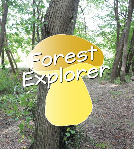 Forest Explorer Inspiringoutdoors