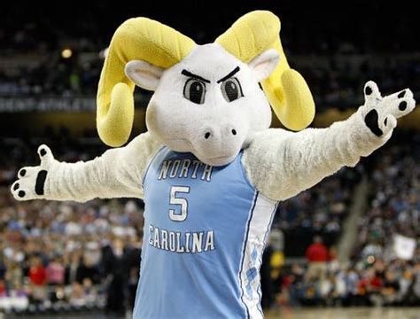 Unc Mascot Ramses North Carolina Tar Heels Basketball North Carolina